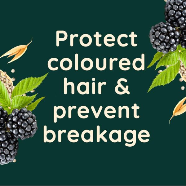 Aveeno Colour Protect Blackberry and Quinoa Scalp Soothing Shampoo for Colour Treated Hair 300ml - Image 4