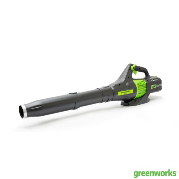 Greenworks 60V Leaf 0eddba6c84c8a730fd603eeb82f42abb