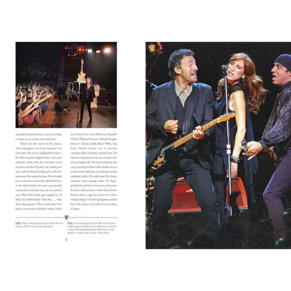 Bruce Springsteen: An Illustrated Biography by Meredith Ochs - Image 4