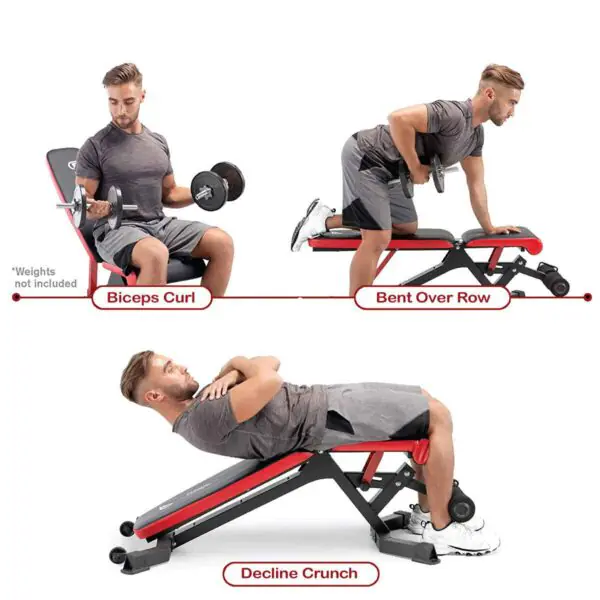 Circuit Fitness HIMT Cage and Utility Bench - Image 5