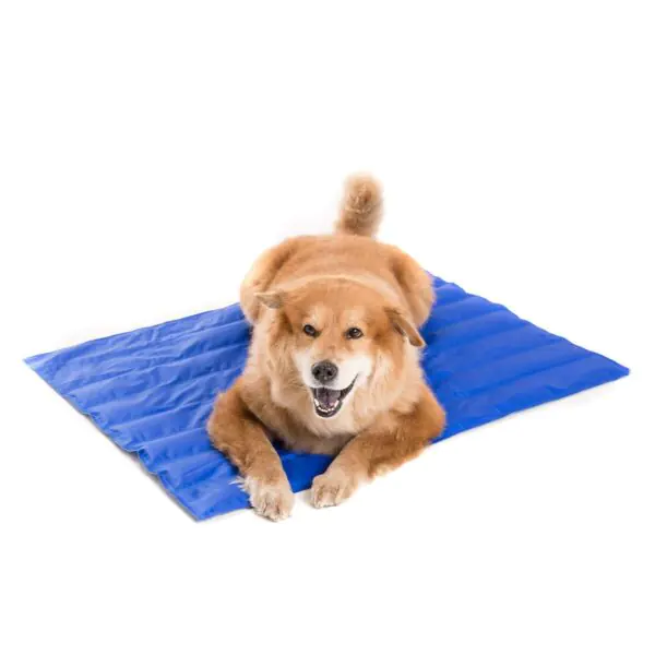 Cool Club Pet Cooling Mat XL, 70cm x 90cm - Image 2