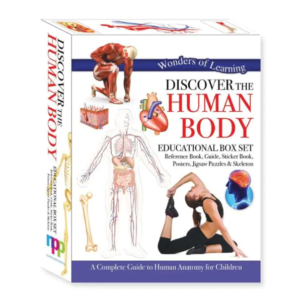 Discover Boxes in 4 Options: Human Body, Dinosaurs, Earth or Volcanoes - Image 4