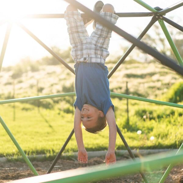 Lifetime Dome Climber (3-10 Years) - Image 7