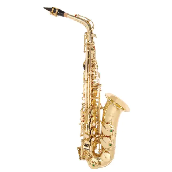 Oydssey OAS130 Debut Alto Saxophone with Case - Image 2