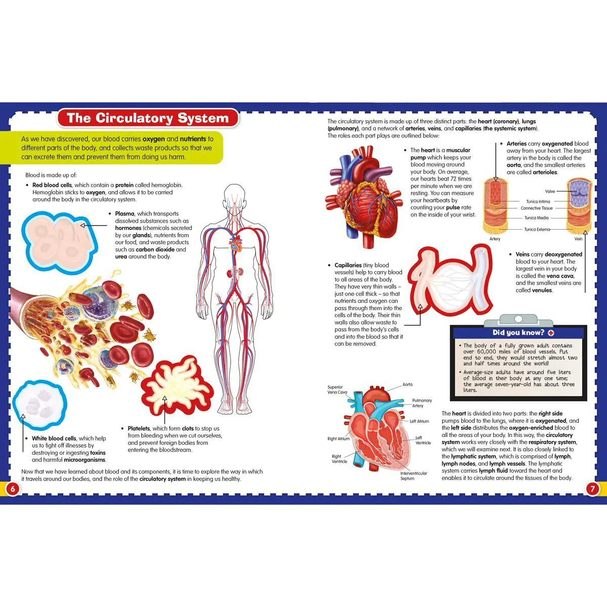 Wonders of Learning be07104a0365b2e5a228751a51744b17