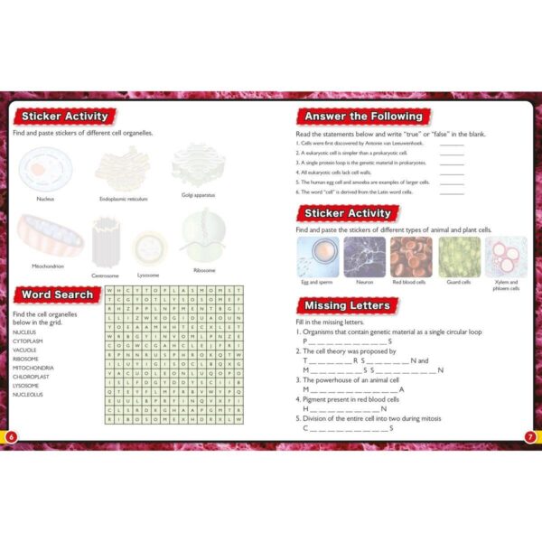 Wonders of Learning Activity Book in 2 Options: Stickers or Puzzles - Image 2