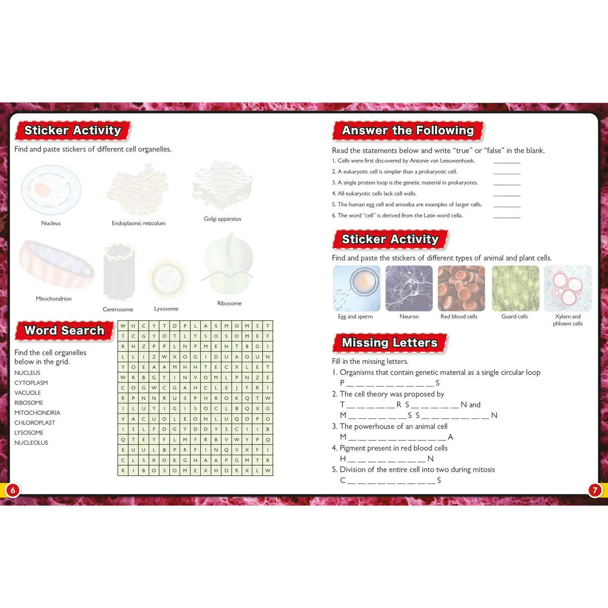Wonders of Learning d530569322eeea9ce775cfbd2fd057ff