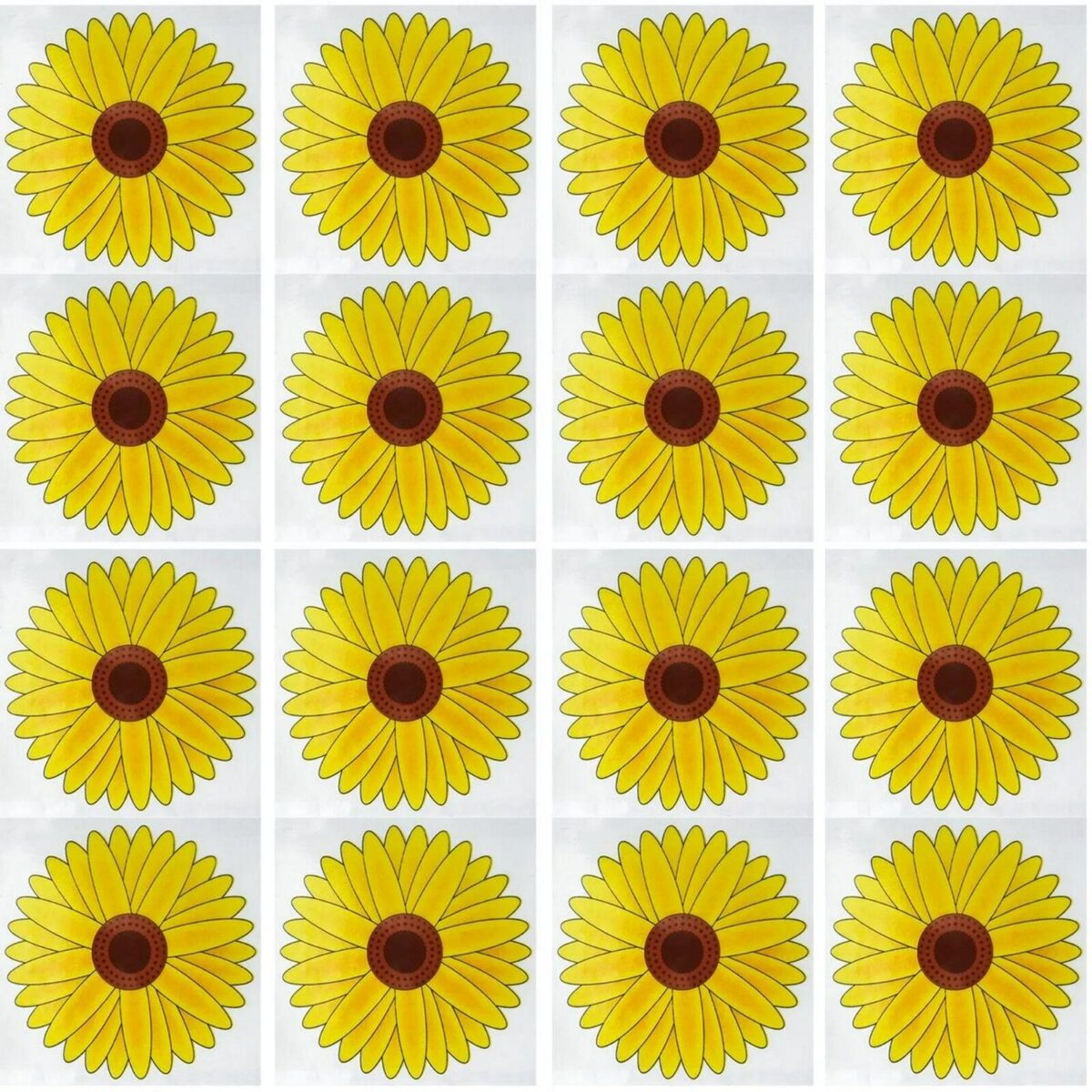 16pk Fly Trap Window 0010345c1af5e8f8c8ffc04526189b09