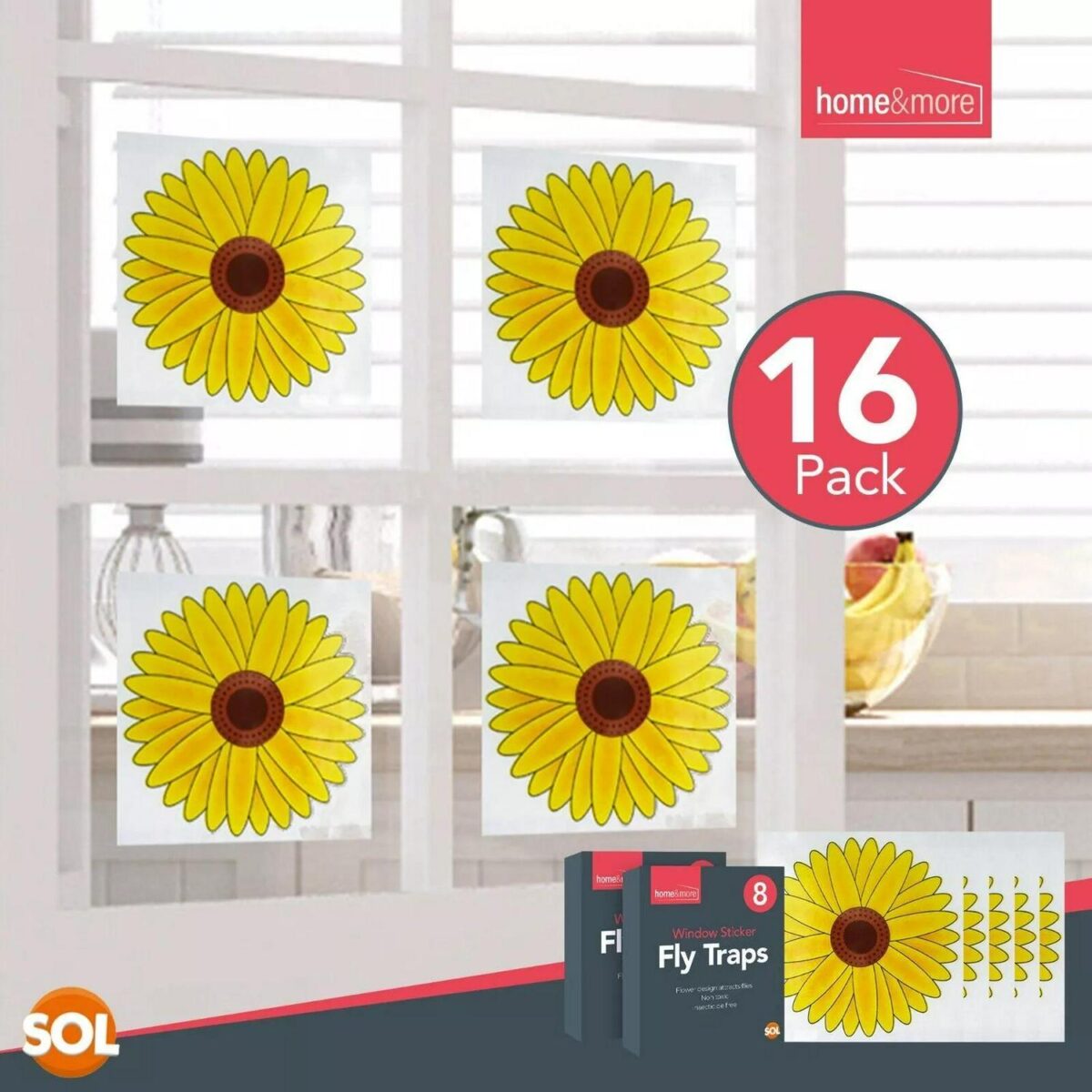 16pk Fly Trap Window e1058e7f8c8a793ee5948a418d158734