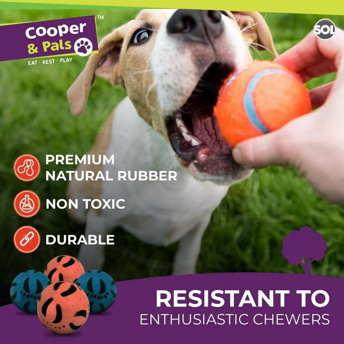 6 24 Rubber Dog Ball 11d637d0970e24959ec445101478bf30
